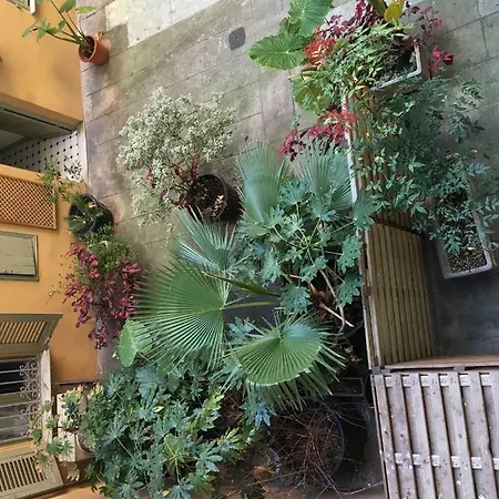 Apartment Heart Of Harboor Cosy And